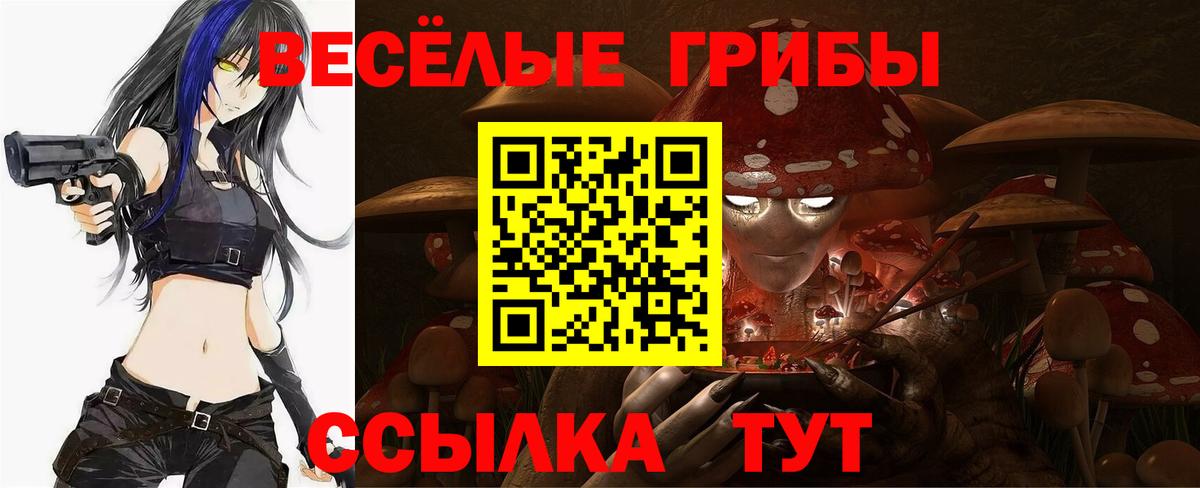 Галлюциногенные грибы прущие грибы  Вход с VPN  Аксай 